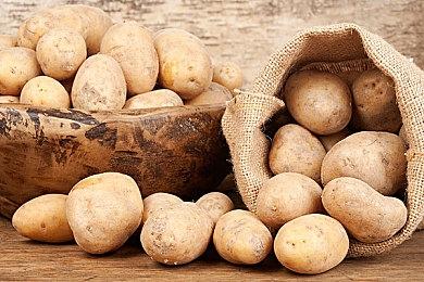 任天堂承诺将对网络服务追加包进行优化和扩展